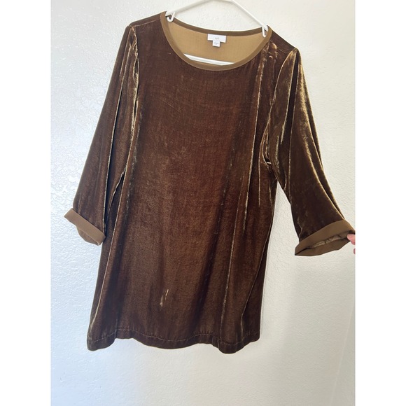 J.Jill Brown Silk Rayon Velvet Tunic Top 3/4 Sleeve Size Medium Fairy Grudge - Picture 4 of 9